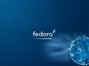 fedora10_plymouth_boot Boot graphique de Fedora 10